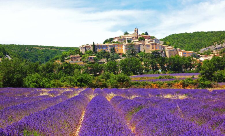 Best Places to See in Lavender Fields of The Luberon
