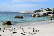 Keep South Africa's Cape Town Beach At Your Travel List