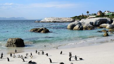 Keep South Africa's Cape Town Beach At Your Travel List