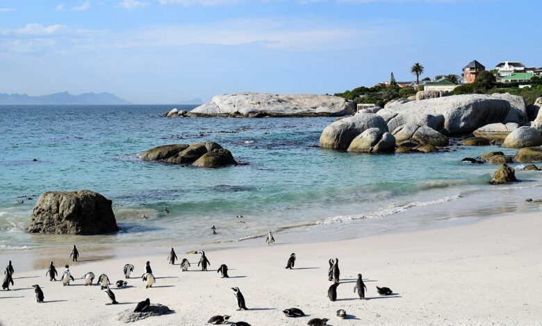 Keep South Africa's Cape Town Beach At Your Travel List