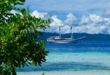 Best Places To See Through Cruises of Indonesia