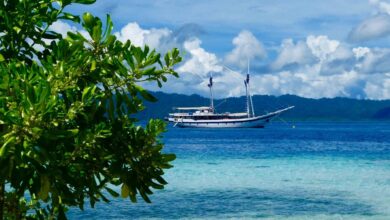 Best Places To See Through Cruises of Indonesia