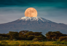 Mount Kilimanjaro : The Highest Peak of Africa