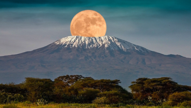 Mount Kilimanjaro : The Highest Peak of Africa