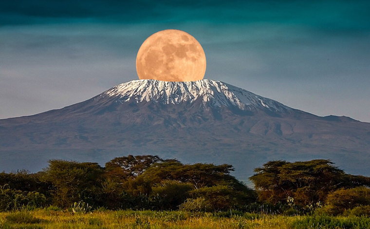 Mount Kilimanjaro : The Highest Peak of Africa