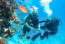 Scuba Diving in Holidays in Sharm el Sheikh, Egypt