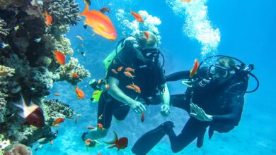 Scuba Diving in Holidays in Sharm el Sheikh, Egypt