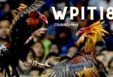 The Facts of WpIT18 and its Dashboard