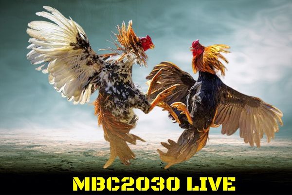 MBC2030 live, and its login process.