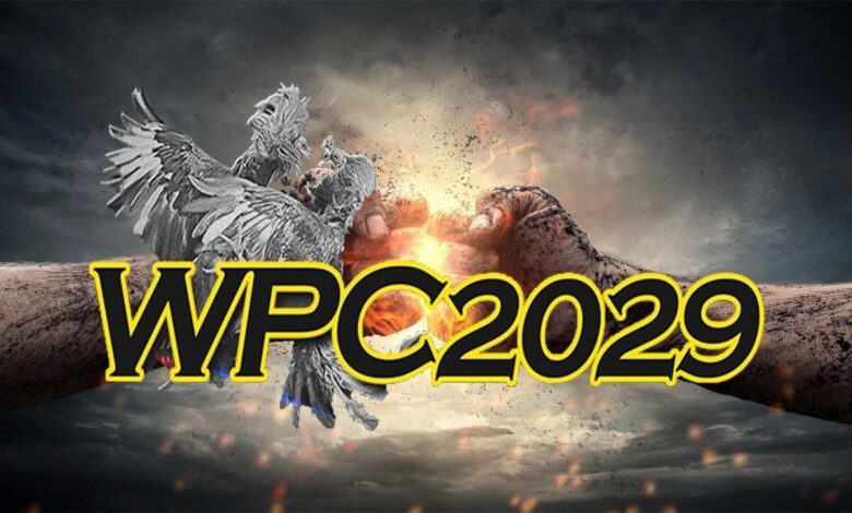 About WPC2029 and Its Dashboard