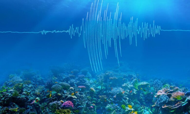 Exploring the Underwater World The Magic of Sound Waves in Fish Finders