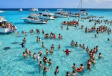 Stingray City Grand Cayman: A Must-Visit Destination for Nature Lovers