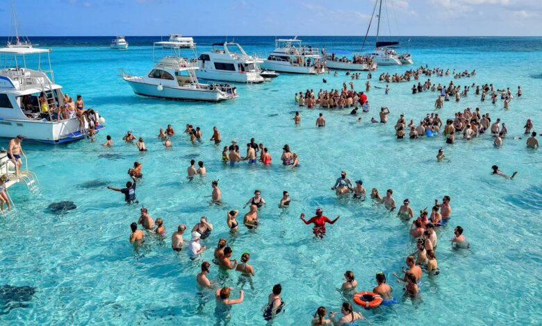 Stingray City Grand Cayman: A Must-Visit Destination for Nature Lovers