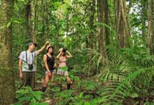 7 Reasons to Travel to the Peruvian Amazon