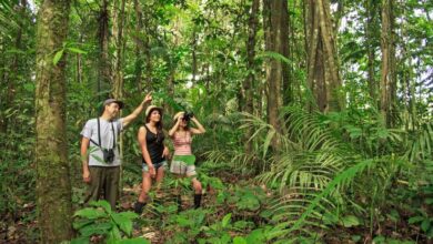 7 Reasons to Travel to the Peruvian Amazon